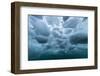 Underwater view of dense brash ice at Cuverville Island, Ererra Channel, Antarctica, Polar Regions-Michael Nolan-Framed Photographic Print