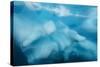 Underwater View of Glacial Ice in Orne Harbor, Antarctica, Polar Regions-Michael Nolan-Stretched Canvas