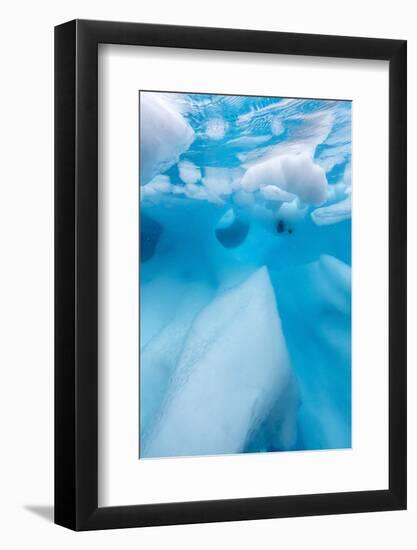 Underwater View of Glacial Ice in Orne Harbor, Antarctica, Polar Regions-Michael Nolan-Framed Photographic Print