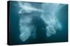 Underwater View of Glacial Ice Near Wiencke Island, Antarctica, Polar Regions-Michael Nolan-Stretched Canvas