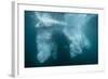 Underwater View of Glacial Ice Near Wiencke Island, Antarctica, Polar Regions-Michael Nolan-Framed Photographic Print