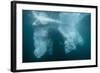 Underwater View of Glacial Ice Near Wiencke Island, Antarctica, Polar Regions-Michael Nolan-Framed Photographic Print