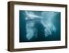 Underwater View of Glacial Ice Near Wiencke Island, Antarctica, Polar Regions-Michael Nolan-Framed Photographic Print