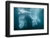 Underwater View of Glacial Ice Near Wiencke Island, Antarctica, Polar Regions-Michael Nolan-Framed Photographic Print