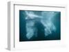 Underwater View of Glacial Ice Near Wiencke Island, Antarctica, Polar Regions-Michael Nolan-Framed Photographic Print