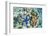 Underwater View of the Reef on Pulau Lintang Island, Anambas Archipelago, Indonesia, Southeast Asia-Michael Nolan-Framed Photographic Print