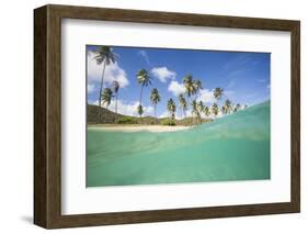 Underwater View of the Sandy Beach Surrounded by Palm Trees, Morris Bay, Antigua-Roberto Moiola-Framed Photographic Print