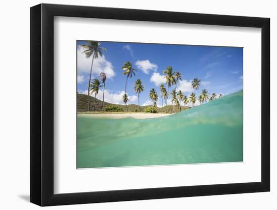 Underwater View of the Sandy Beach Surrounded by Palm Trees, Morris Bay, Antigua-Roberto Moiola-Framed Photographic Print