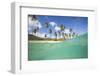 Underwater View of the Sandy Beach Surrounded by Palm Trees, Morris Bay, Antigua-Roberto Moiola-Framed Photographic Print