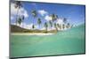 Underwater View of the Sandy Beach Surrounded by Palm Trees, Morris Bay, Antigua-Roberto Moiola-Mounted Photographic Print