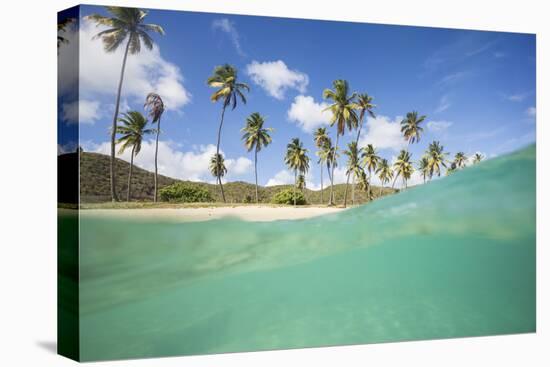 Underwater View of the Sandy Beach Surrounded by Palm Trees, Morris Bay, Antigua-Roberto Moiola-Stretched Canvas