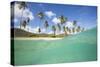 Underwater View of the Sandy Beach Surrounded by Palm Trees, Morris Bay, Antigua-Roberto Moiola-Stretched Canvas