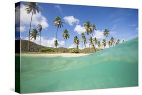 Underwater View of the Sandy Beach Surrounded by Palm Trees, Morris Bay, Antigua-Roberto Moiola-Stretched Canvas