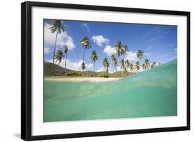 Underwater View of the Sandy Beach Surrounded by Palm Trees, Morris Bay, Antigua-Roberto Moiola-Framed Photographic Print