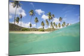 Underwater View of the Sandy Beach Surrounded by Palm Trees, Morris Bay, Antigua-Roberto Moiola-Mounted Photographic Print