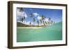 Underwater View of the Sandy Beach Surrounded by Palm Trees, Morris Bay, Antigua-Roberto Moiola-Framed Photographic Print