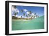 Underwater View of the Sandy Beach Surrounded by Palm Trees, Morris Bay, Antigua-Roberto Moiola-Framed Photographic Print
