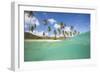 Underwater View of the Sandy Beach Surrounded by Palm Trees, Morris Bay, Antigua-Roberto Moiola-Framed Photographic Print