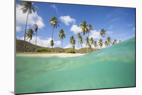 Underwater View of the Sandy Beach Surrounded by Palm Trees, Morris Bay, Antigua-Roberto Moiola-Mounted Photographic Print