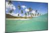 Underwater View of the Sandy Beach Surrounded by Palm Trees, Morris Bay, Antigua-Roberto Moiola-Mounted Photographic Print