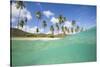 Underwater View of the Sandy Beach Surrounded by Palm Trees, Morris Bay, Antigua-Roberto Moiola-Stretched Canvas