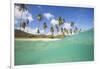 Underwater View of the Sandy Beach Surrounded by Palm Trees, Morris Bay, Antigua-Roberto Moiola-Framed Photographic Print