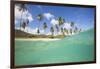 Underwater View of the Sandy Beach Surrounded by Palm Trees, Morris Bay, Antigua-Roberto Moiola-Framed Photographic Print