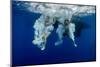 Underwater View of the Young Couple Having Fun and Jumping into the Clear Sea from a Boat-Dudarev Mikhail-Mounted Photographic Print