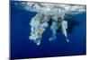 Underwater View of the Young Couple Having Fun and Jumping into the Clear Sea from a Boat-Dudarev Mikhail-Mounted Photographic Print