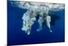 Underwater View of the Young Couple Having Fun and Jumping into the Clear Sea from a Boat-Dudarev Mikhail-Mounted Photographic Print