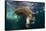 Underwater View of Walrus, Hudson Bay, Nunavut, Canada-Paul Souders-Framed Stretched Canvas