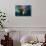 Underwater View of Walrus, Hudson Bay, Nunavut, Canada-Paul Souders-Photographic Print displayed on a wall