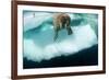 Underwater View of Walrus, Hudson Bay, Nunavut, Canada-Paul Souders-Framed Photographic Print