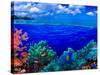 Underwater View of Yellowbar Angelfish (Pomacanthus Maculosus) with Tiger Grouper (Mycteroperca ...-null-Stretched Canvas