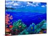 Underwater View of Yellowbar Angelfish (Pomacanthus Maculosus) with Tiger Grouper (Mycteroperca ...-null-Stretched Canvas