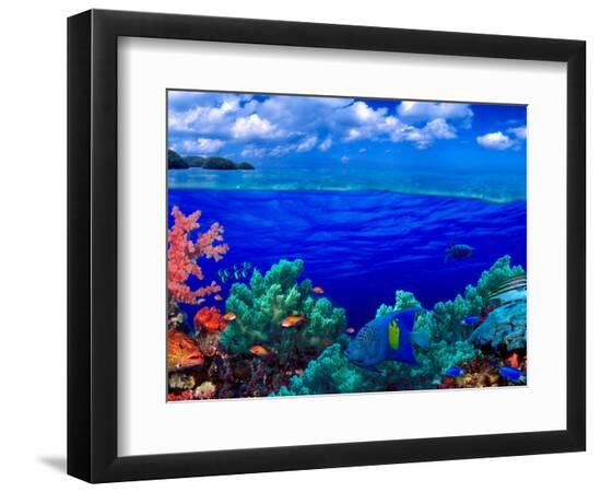 Premium Photographic Print, , large