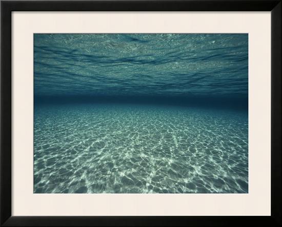 Underwater View-Bill Curtsinger-Framed Photographic Print