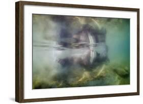 Underwater Walrus and Calf in Hudson Bay, Nunavut, Canada-Paul Souders-Framed Photographic Print