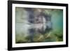 Underwater Walrus and Calf in Hudson Bay, Nunavut, Canada-Paul Souders-Framed Photographic Print