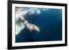 Underwater Walrus, Hudson Bay, Nunavut, Canada-Paul Souders-Framed Photographic Print