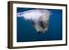 Underwater Walrus, Hudson Bay, Nunavut, Canada-Paul Souders-Framed Photographic Print