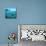 Underwater World and Diving Scene-Nikola Knezevic-Mounted Art Print displayed on a wall