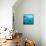 Underwater World and Diving Scene-Nikola Knezevic-Mounted Art Print displayed on a wall