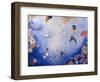 Underwater World IV-Odile Kidd-Framed Giclee Print