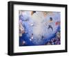 Underwater World IV-Odile Kidd-Framed Giclee Print