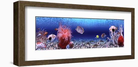 Underwater World - Panorama-null-Framed Art Print