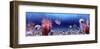 Underwater World - Panorama-null-Framed Art Print