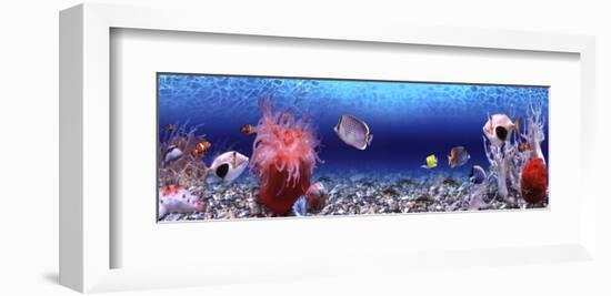 Underwater World - Panorama-null-Framed Art Print