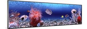 Underwater World - Panorama-null-Mounted Art Print