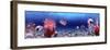 Underwater World - Panorama-null-Framed Art Print